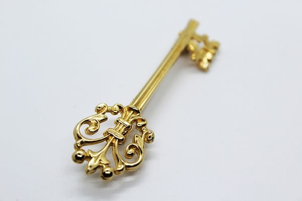 Gold Tone Skeleton Key Brooch