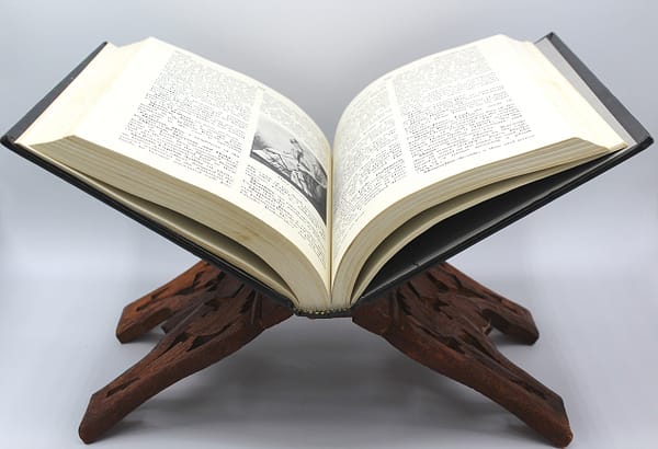 Vintage Hand Craved Sheesham Wood Book Display Stand | Whispering City RVA